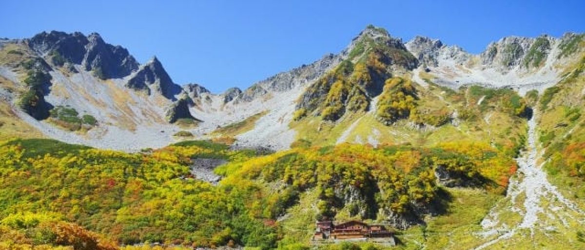 ゴルフ会員権の魅力を徹底解剖！あなたに最適な選び方とは？